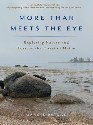 cover image of More Than Meets the Eye